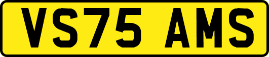 VS75AMS