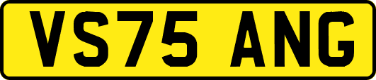 VS75ANG