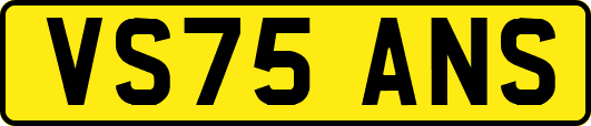VS75ANS