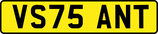 VS75ANT