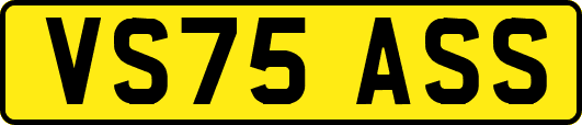 VS75ASS