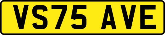 VS75AVE