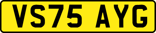 VS75AYG