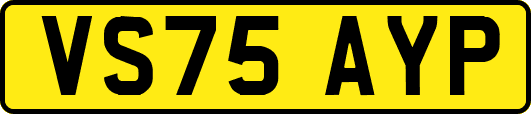 VS75AYP