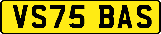 VS75BAS