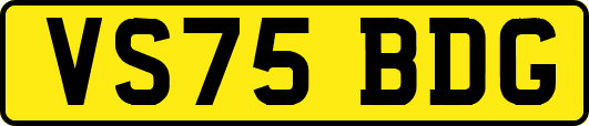 VS75BDG