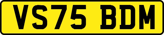 VS75BDM
