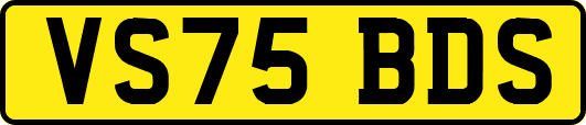 VS75BDS