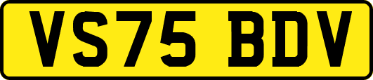 VS75BDV