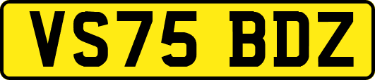 VS75BDZ
