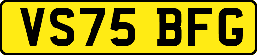VS75BFG