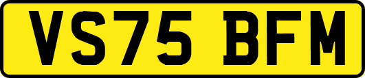 VS75BFM