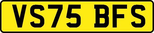 VS75BFS