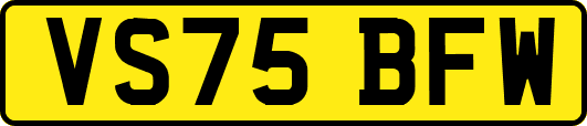 VS75BFW