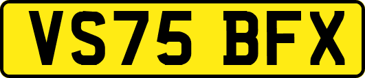 VS75BFX