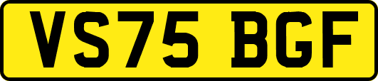 VS75BGF