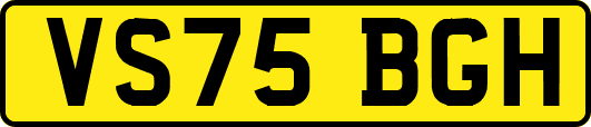 VS75BGH