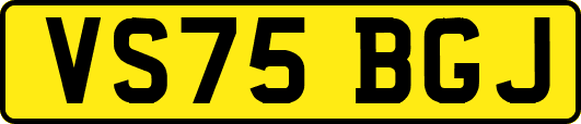 VS75BGJ