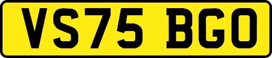 VS75BGO