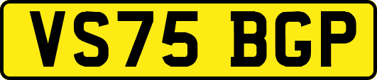 VS75BGP