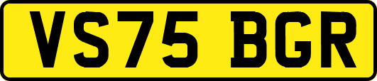 VS75BGR