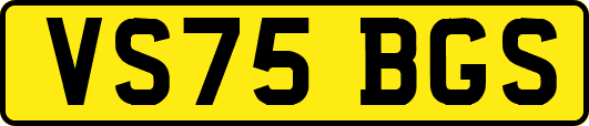 VS75BGS