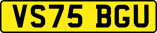 VS75BGU