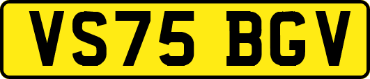 VS75BGV