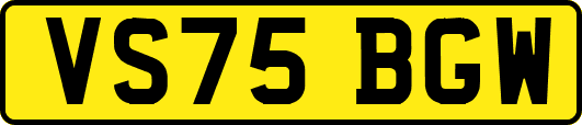 VS75BGW