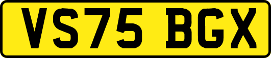 VS75BGX