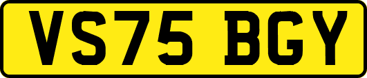 VS75BGY