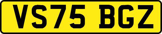 VS75BGZ