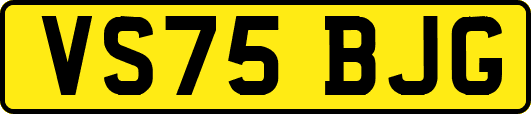 VS75BJG