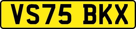 VS75BKX