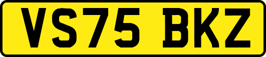 VS75BKZ