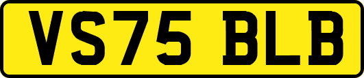 VS75BLB