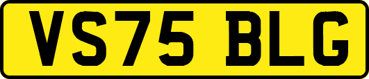 VS75BLG