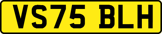 VS75BLH