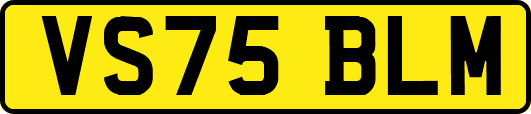 VS75BLM