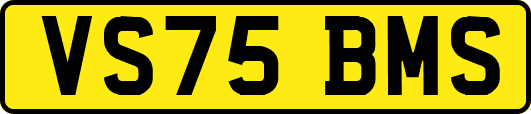 VS75BMS