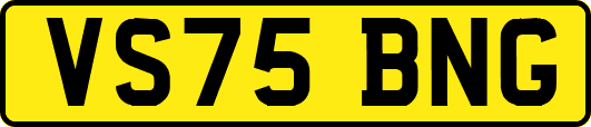VS75BNG