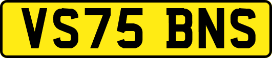 VS75BNS