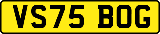 VS75BOG