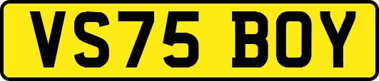 VS75BOY