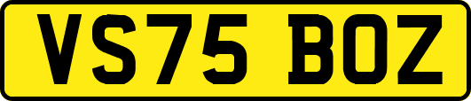 VS75BOZ
