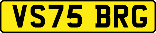 VS75BRG