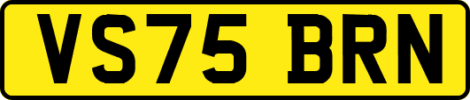 VS75BRN