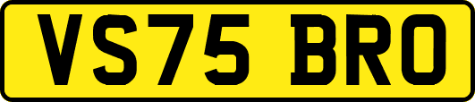 VS75BRO