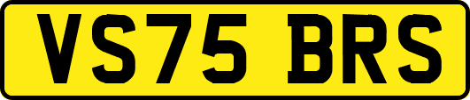VS75BRS