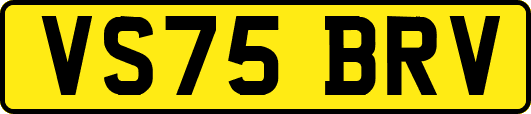 VS75BRV